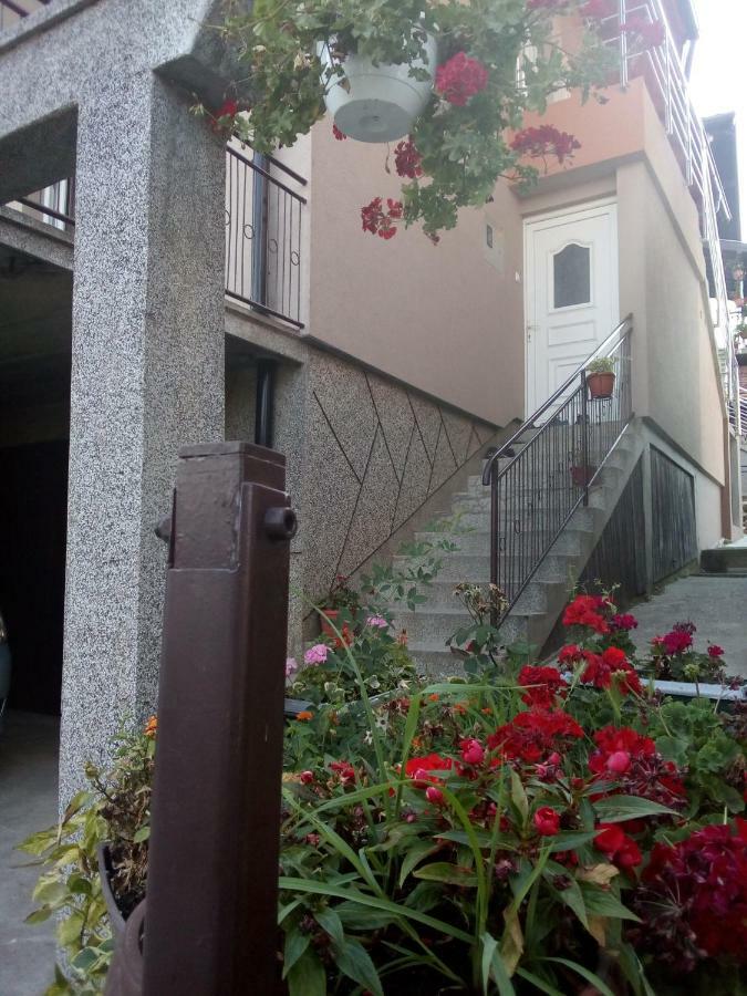 Apartmani "Babici" 巴尼西卢卡 外观 照片